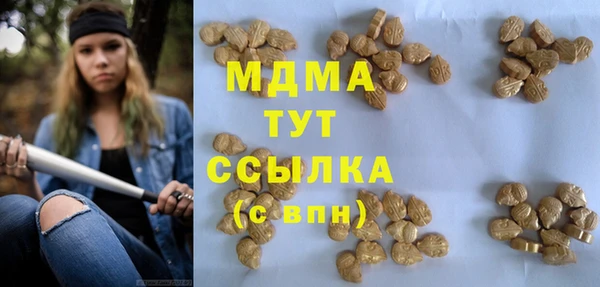 мдпв Горно-Алтайск