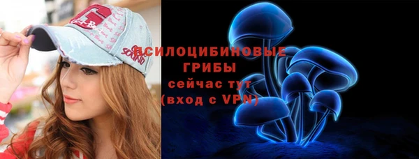 мдпв Горно-Алтайск
