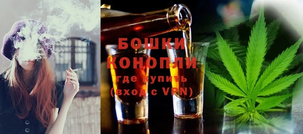 стафф Горняк