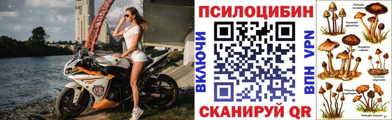 Галлюциногенные грибы MAGIC MUSHROOMS  МЕГА ТОР  Сургут 